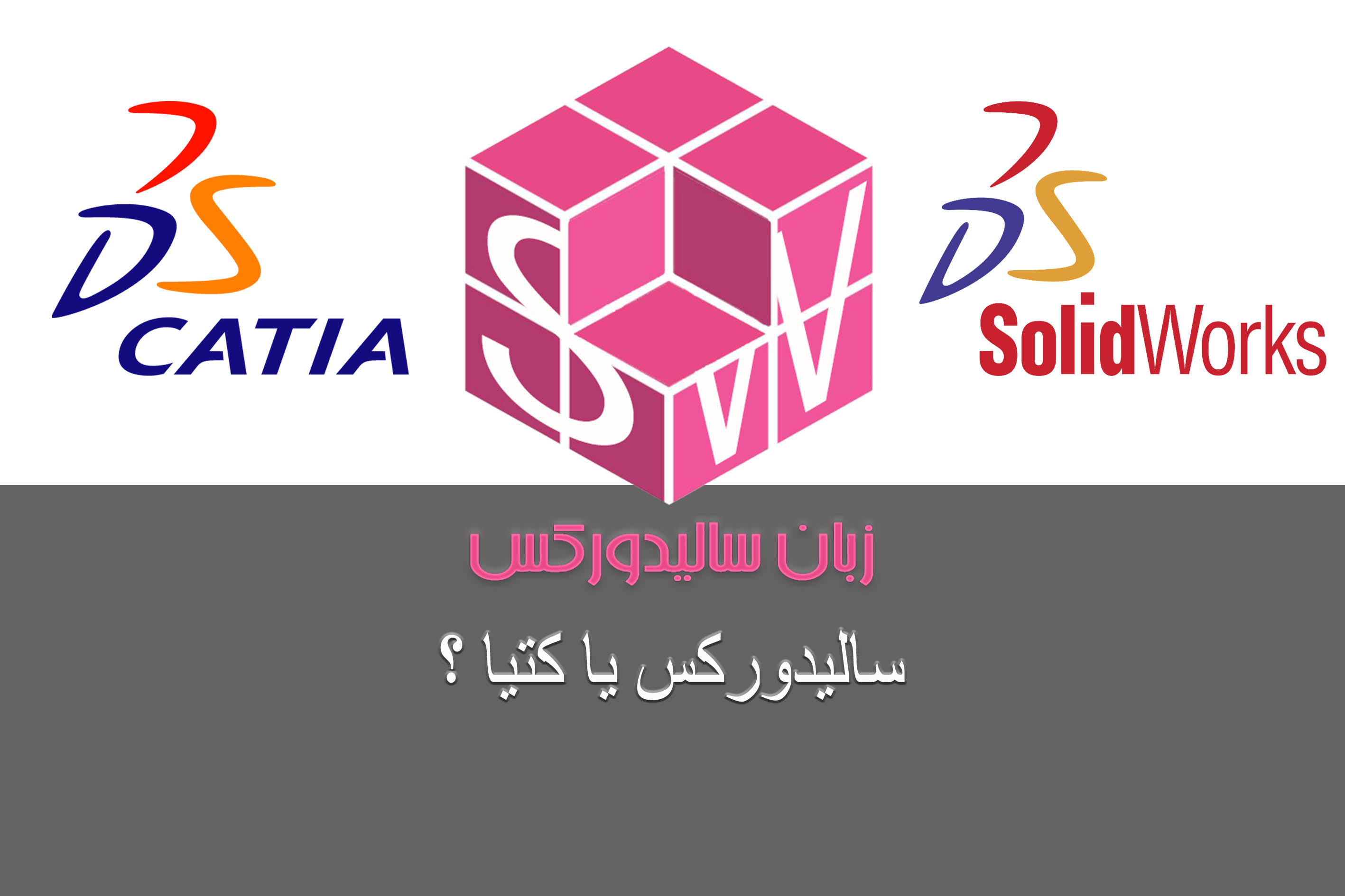 سالیدورکس یا کتیا ؟